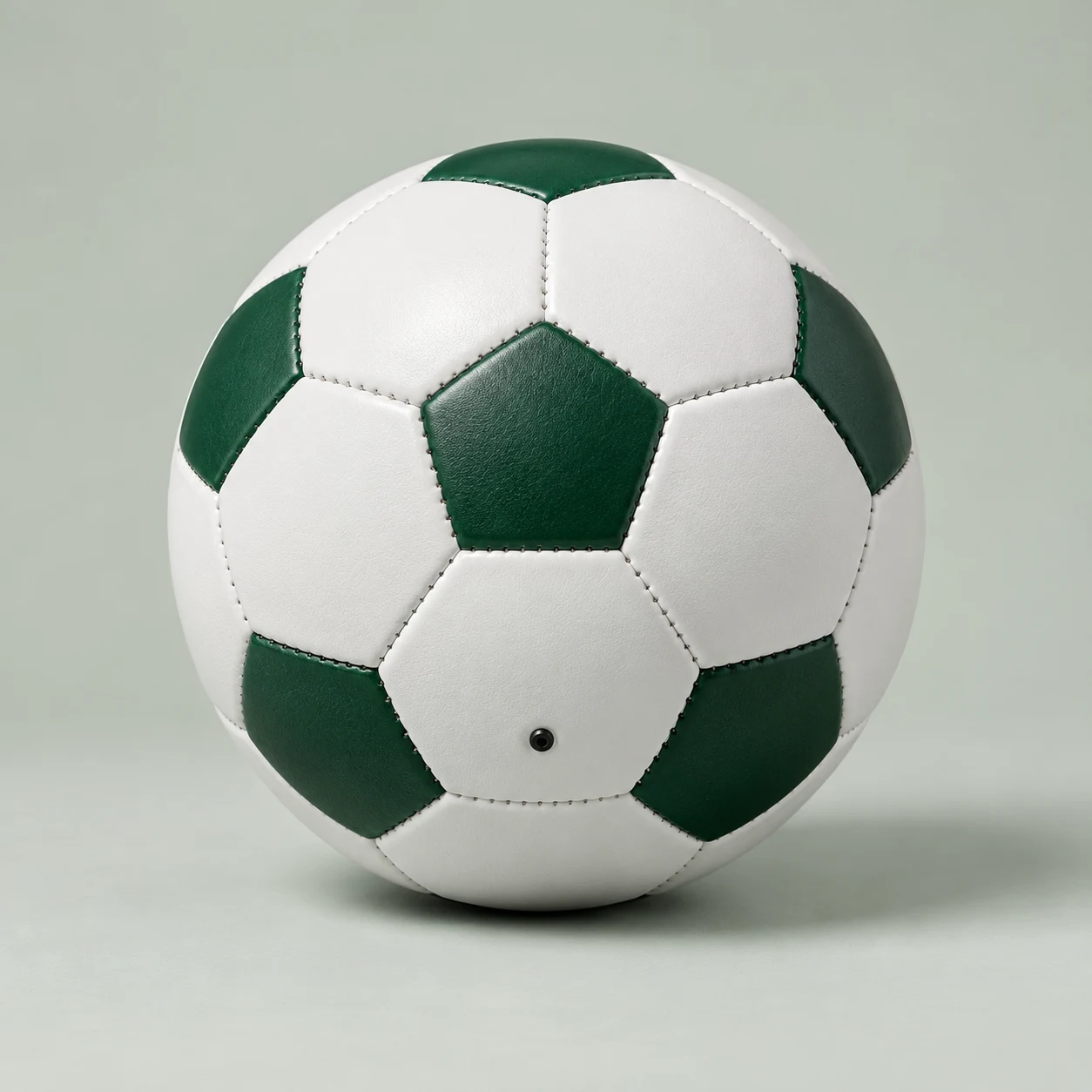 Panel training football